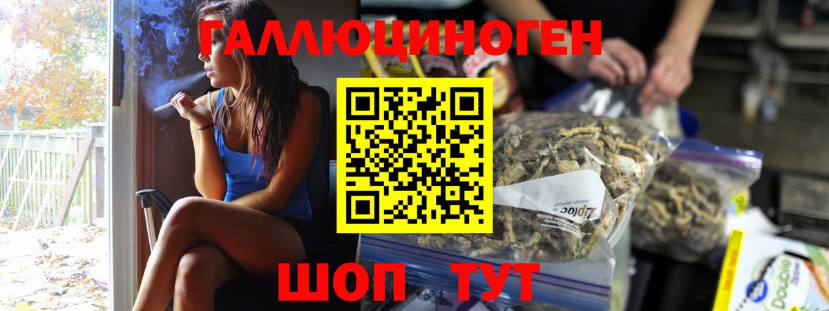 Псилоцибиновые грибы Psilocybine cubensis Кириши